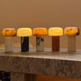 Load image into Gallery viewer, Sorvane Marble Alabaster Table Lamp (Built-in Battery)
