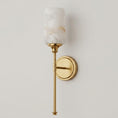Load image into Gallery viewer, Tracie Wall Lamp
