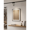 Load image into Gallery viewer, VidaLite Track Light
