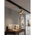 Load image into Gallery viewer, VidaLite Track Light

