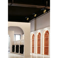 Load image into Gallery viewer, VidaLite Track Light
