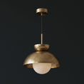 Bild in Galerie-Betrachter laden, Volo Alabaster Pendant Lamp
