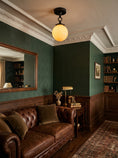 Load image into Gallery viewer, Wildwood Semi-Flush Mount
