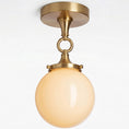 Load image into Gallery viewer, Wildwood Semi-Flush Mount
