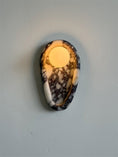 Bild in Galerie-Betrachter laden, Nidus Marble Wall Sconce
