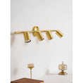 Load image into Gallery viewer, Taylor Adjustable Head Wall/Ceiling Lamp

