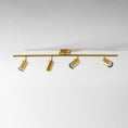 Load image into Gallery viewer, Taylor Adjustable Head Wall/Ceiling Lamp
