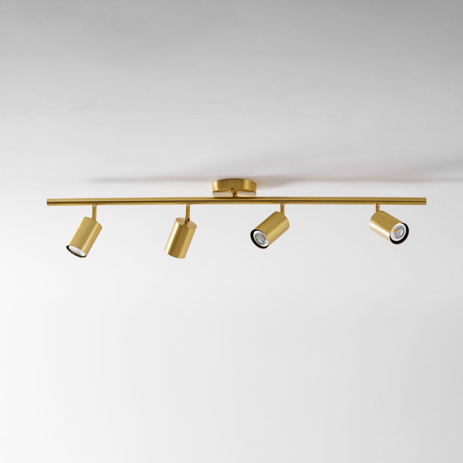 Taylor Adjustable Head Wall/Ceiling Lamp
