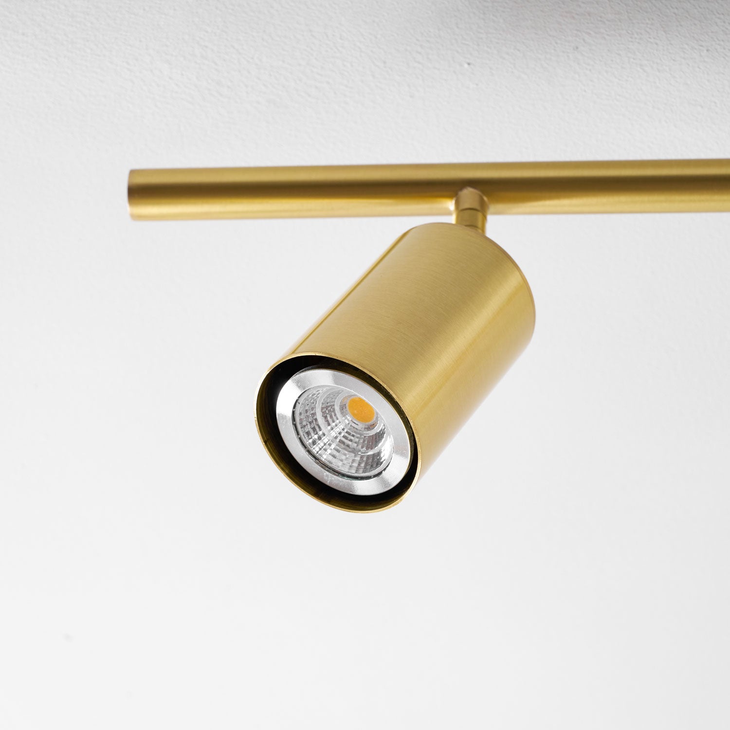 Taylor Adjustable Head Wall/Ceiling Lamp