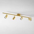 Load image into Gallery viewer, Taylor Adjustable Head Wall/Ceiling Lamp
