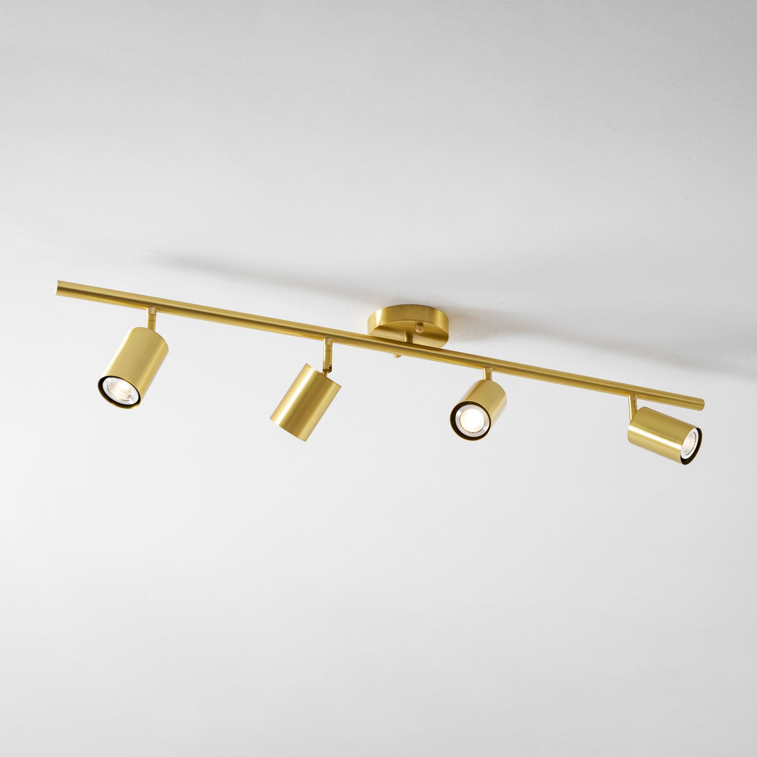 Taylor Adjustable Head Wall/Ceiling Lamp