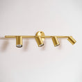 Load image into Gallery viewer, Taylor Adjustable Head Wall/Ceiling Lamp
