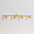 Load image into Gallery viewer, Taylor Adjustable Head Wall/Ceiling Lamp
