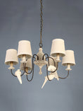 Bild in Galerie-Betrachter laden, Savor Chandelier
