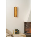 Load image into Gallery viewer, Scorpio Wall Lamp
