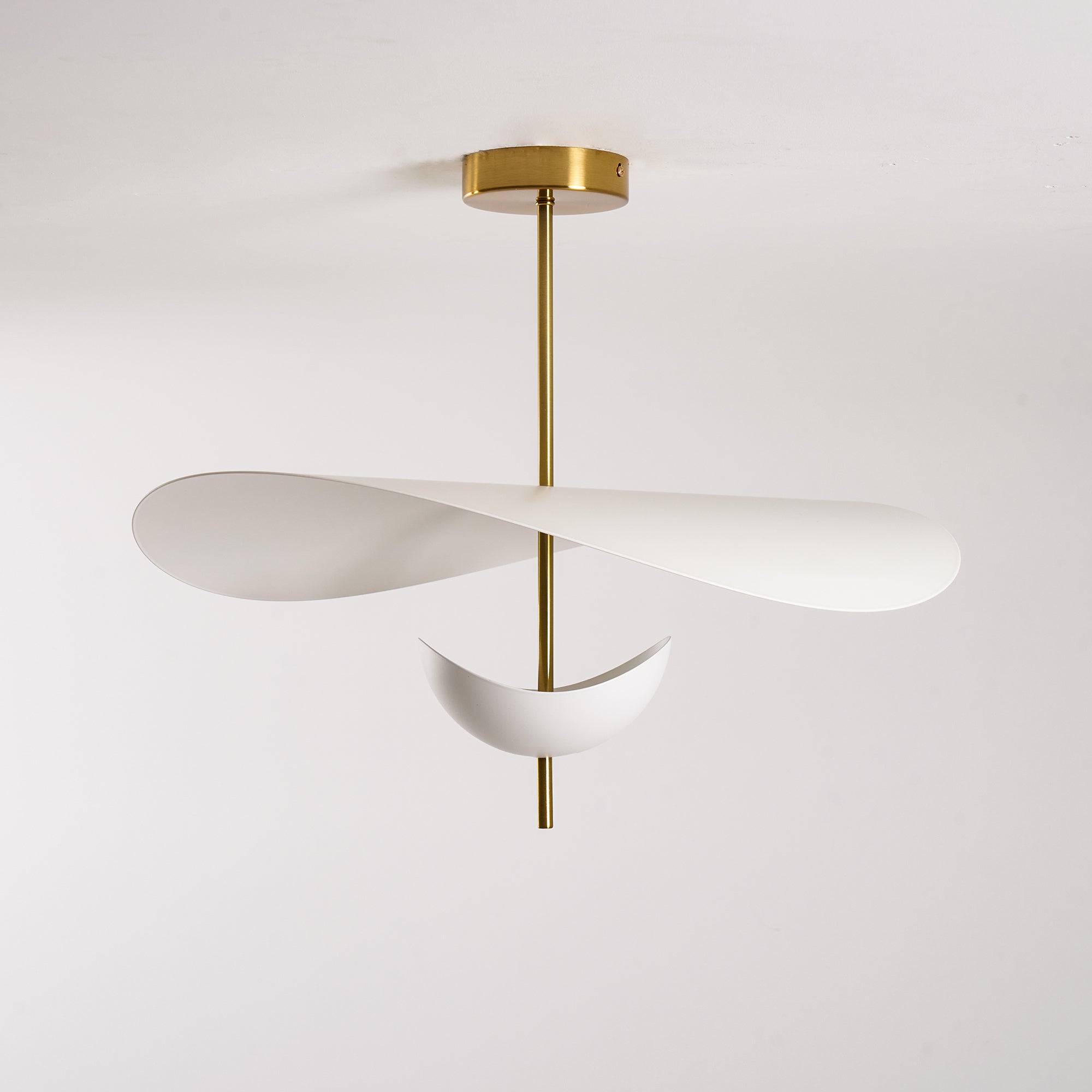 Selene Floating Pendant Lamp