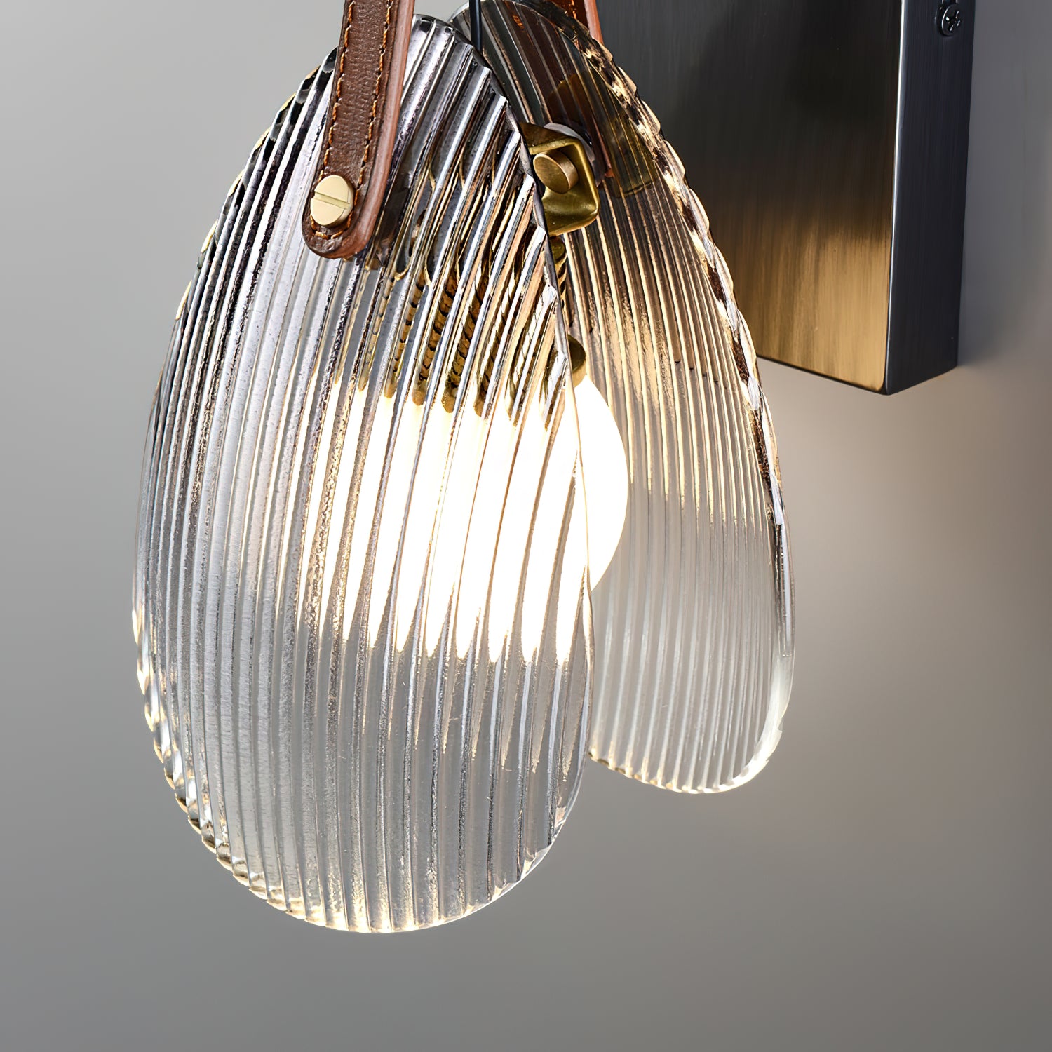 Shell Glass Wall Lamp