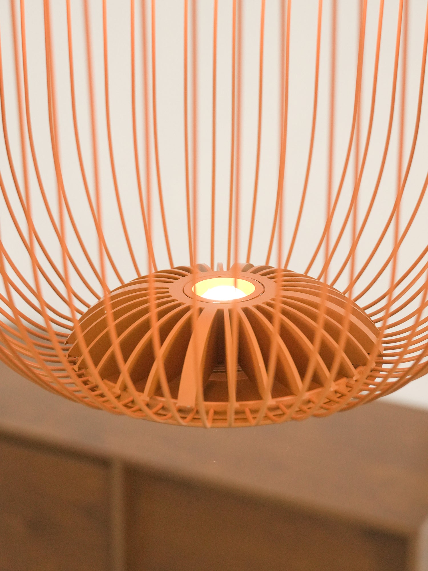 Spokes Cage Pendant Lamp