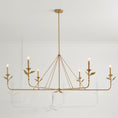 Load image into Gallery viewer, Spring Island Basket Chandelier
