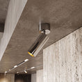 Cargar la imagen en la vista de la galería, Stanly Ceiling Spotlight Lamp
