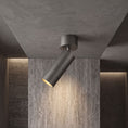 Cargar la imagen en la vista de la galería, Stanly Ceiling Spotlight Lamp
