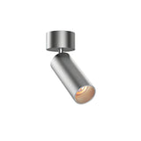 Stanly Ceiling Spotlight Leuchte