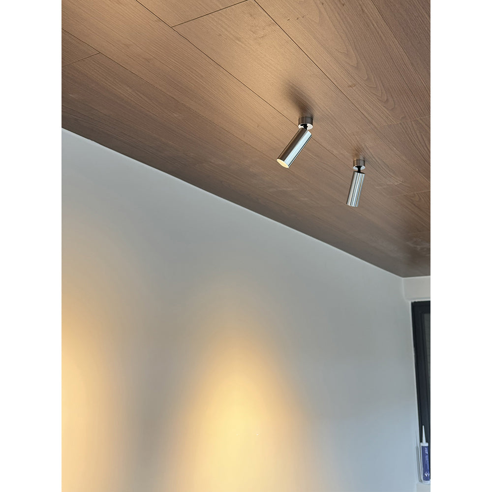 Stanly Ceiling Spotlight Lamp