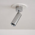 Load image into Gallery viewer, Stanly Ceiling Spotlight Lamp

