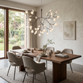 Bild in Galerie-Betrachter laden, Heracleum Chandelier
