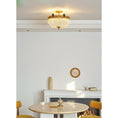Bild in Galerie-Betrachter laden, Stinnett Ceiling Lamp
