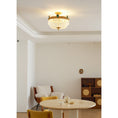 Bild in Galerie-Betrachter laden, Stinnett Ceiling Lamp

