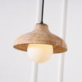 Load image into Gallery viewer, Surfside Pendant Lamp
