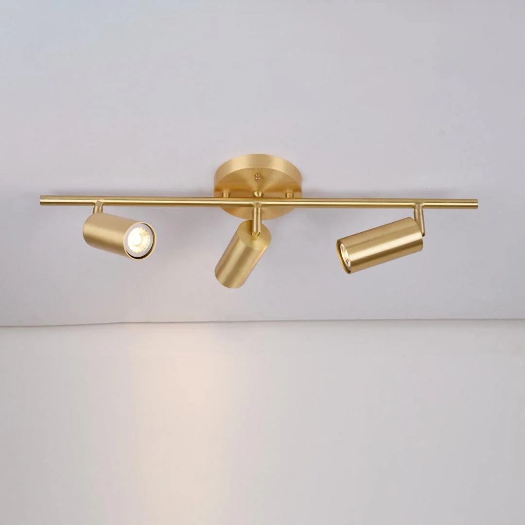 Taylor Adjustable Head Wall/Ceiling Lamp