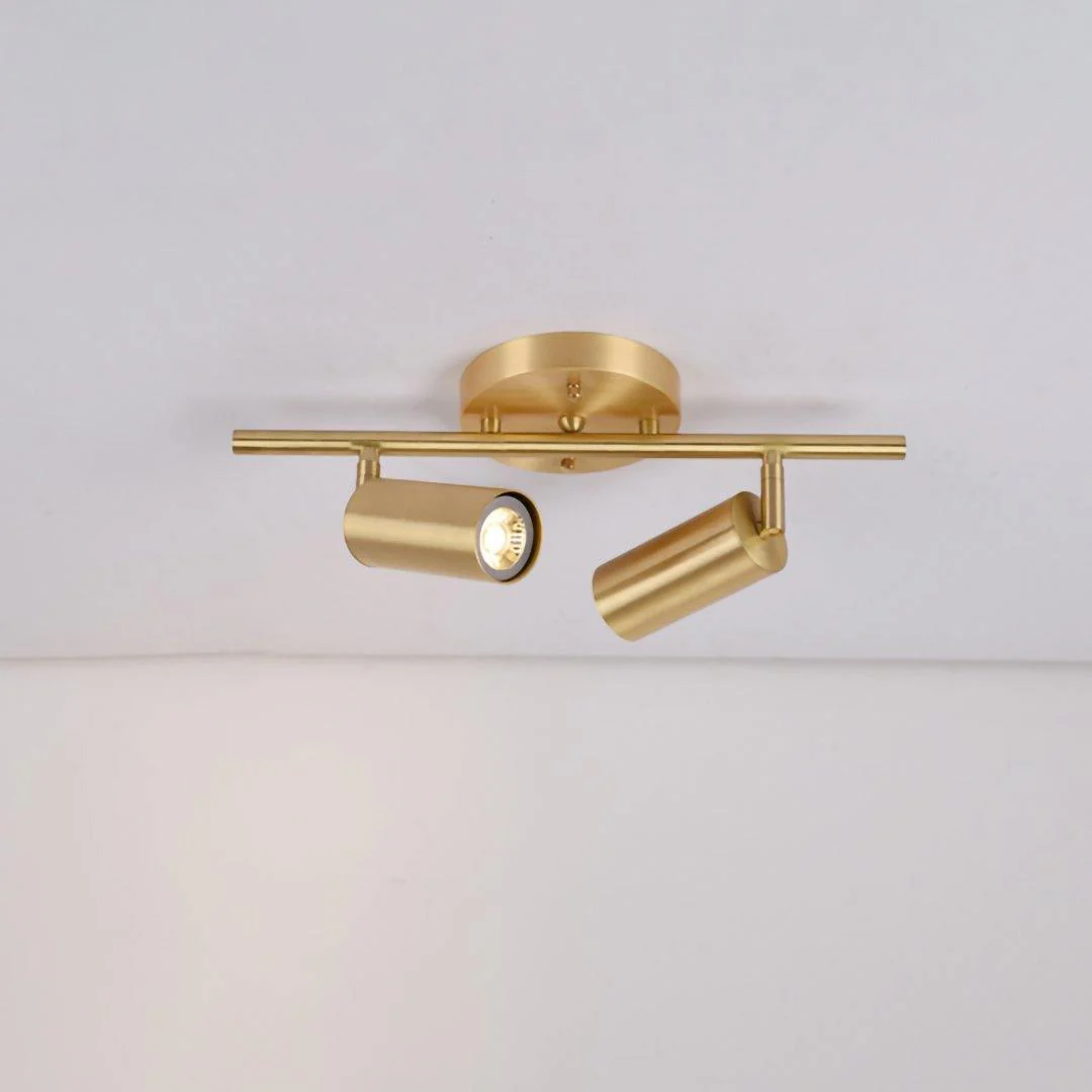 Taylor Adjustable Head Wall/Ceiling Lamp