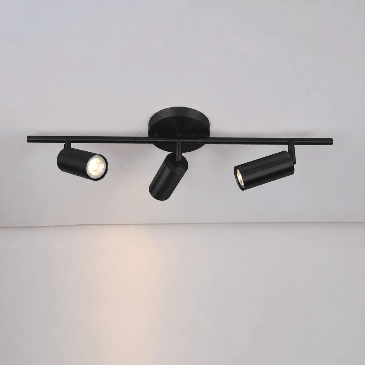 Taylor Adjustable Head Wall/Ceiling Lamp