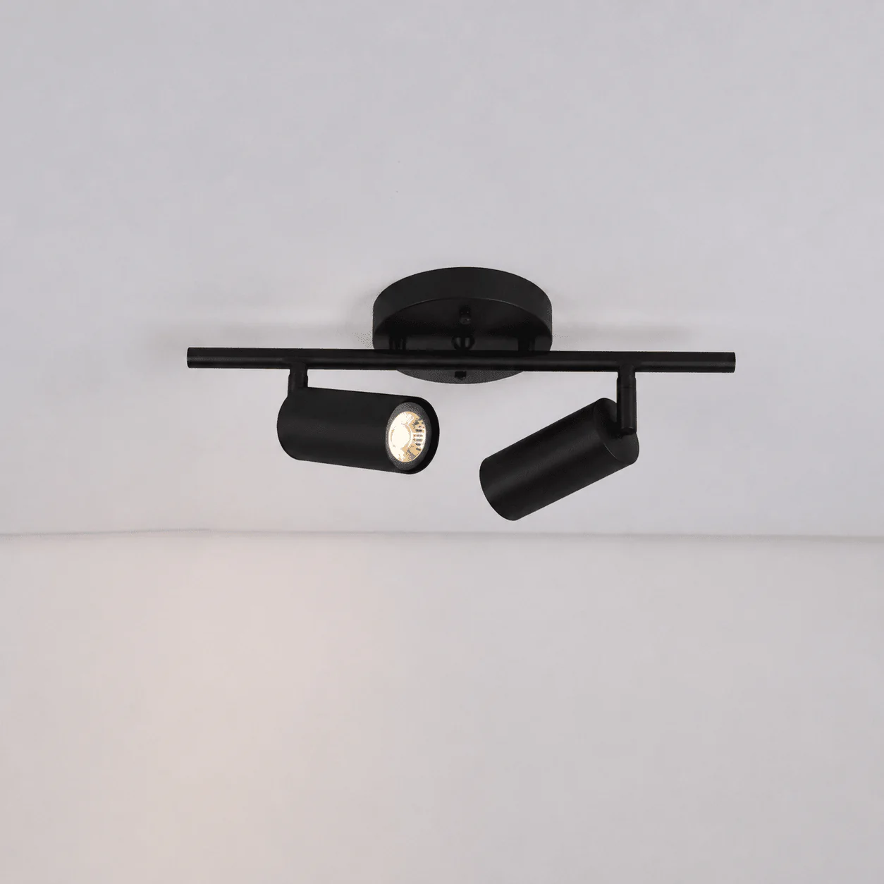 Taylor Adjustable Head Wall/Ceiling Lamp