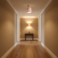 Load image into Gallery viewer, Terrene Cone Ceiling Lamp
