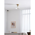 Charger l'image dans la visionneuse de la galerie, Thetford Ceiling Lamp
