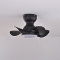 Bild in Galerie-Betrachter laden, Trailblazer 18″ Ceiling Fan Light
