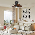 Bild in Galerie-Betrachter laden, Trailblazer 18″ Ceiling Fan Light
