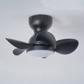 Bild in Galerie-Betrachter laden, Trailblazer 18″ Ceiling Fan Light
