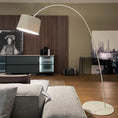 Load image into Gallery viewer, Twiggy Floor Lamp
