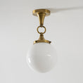 Load image into Gallery viewer, Wildwood Glass Semi-Flush Mount
