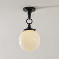 Load image into Gallery viewer, Wildwood Glass Semi-Flush Mount
