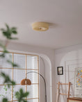 Load image into Gallery viewer, Willa Glass Flush Mount Ceiling Light
