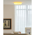 Load image into Gallery viewer, Willa Glass Flush Mount Ceiling Light
