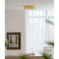 Load image into Gallery viewer, Willa Glass Flush Mount Ceiling Light

