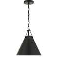 Bild in Galerie-Betrachter laden, Xavier Pendant Lamp
