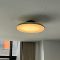 Bild in Galerie-Betrachter laden, Zayn Ceiling Lamp
