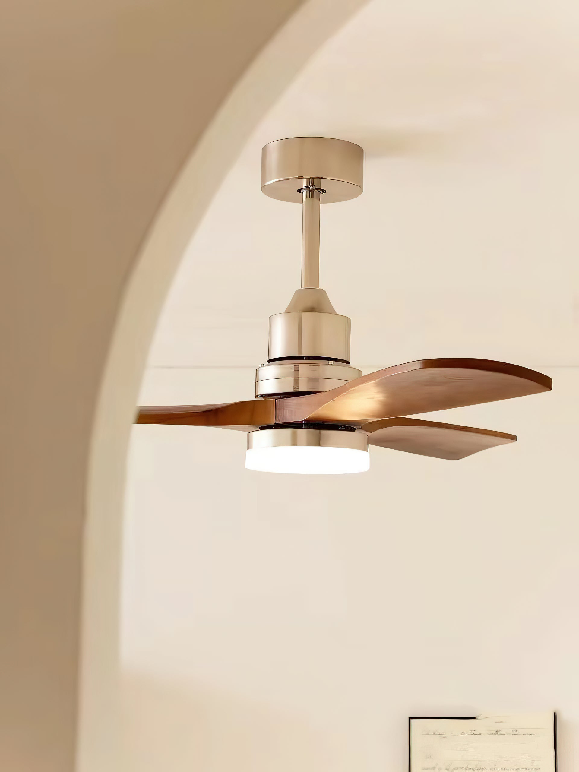 Zephyr Wooden Fan Ceiling Light
